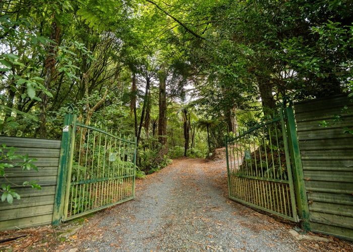  at 217 Soldiers Road, Lower Kaimai, Western Bay Of Plenty, Bay Of Plenty