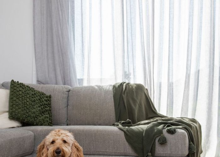  at 8 Karaipiture Road, Paerata, Franklin, Auckland