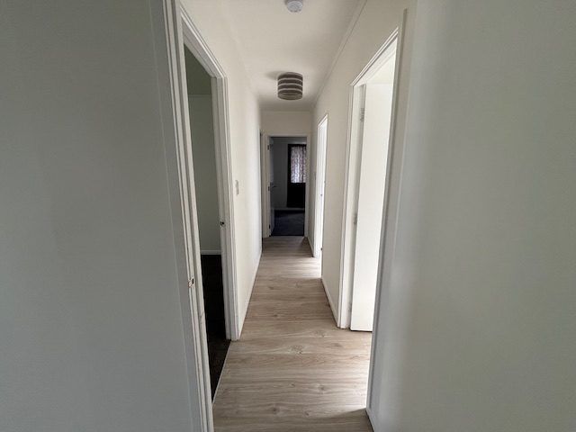  at 14 Armada Drive, Ranui, Waitakere City, Auckland