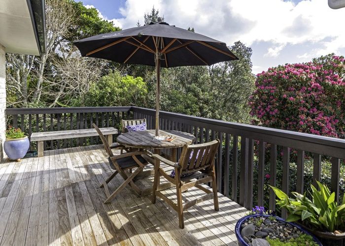  at 49 John Gill Road, Shelly Park, Auckland