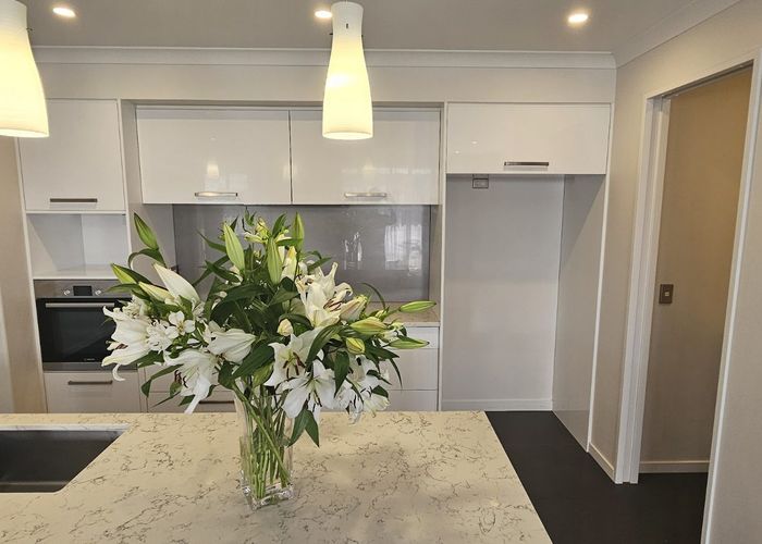  at 29 Makawe-Roe Street, Marshland, Christchurch City, Canterbury