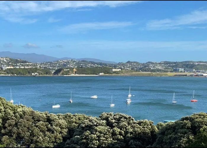  at 11 Rewa Road, Hataitai, Wellington, Wellington