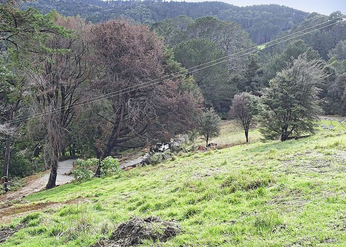  at 99 Birdsall Road, Whangateau