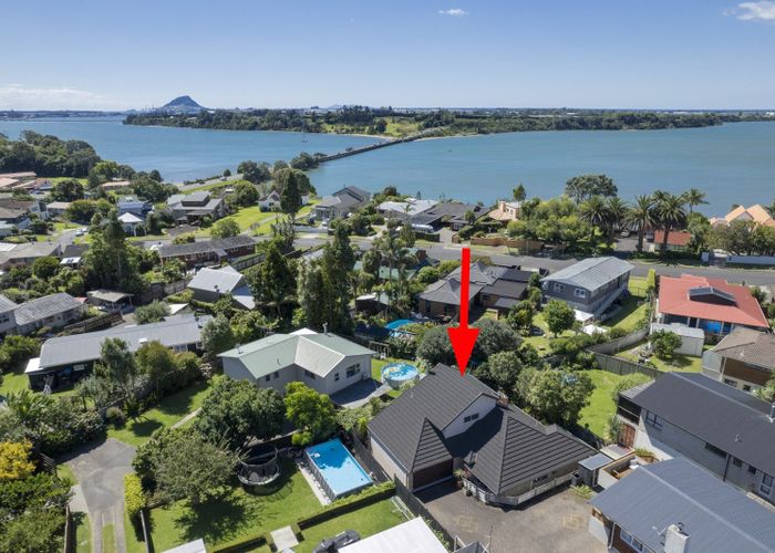  at 36A Maihi Crescent, Maungatapu, Tauranga, Bay Of Plenty