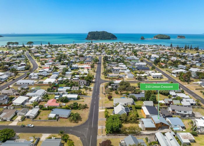  at 210 Linton Crescent, Whangamata