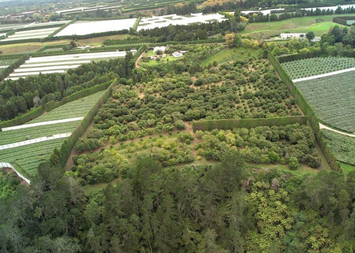  at 400 Te Matai Road, Te Puke, Western Bay Of Plenty, Bay Of Plenty