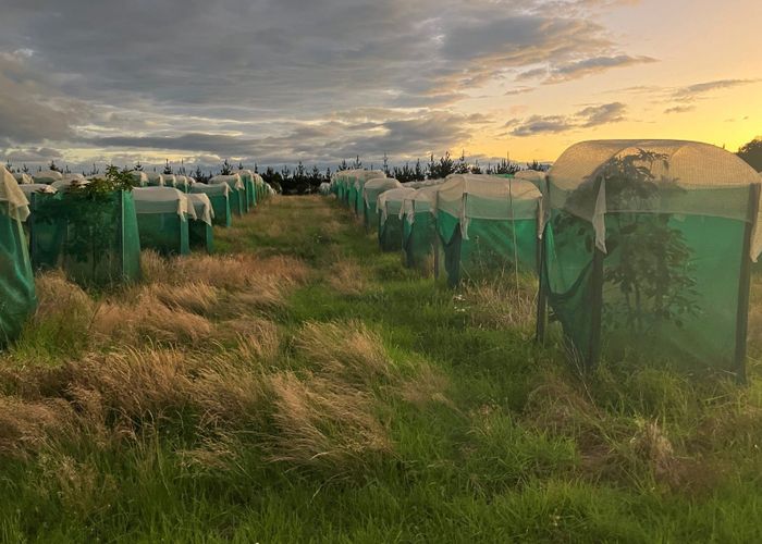  at 1030A Thornton Road, Matata, Whakatane