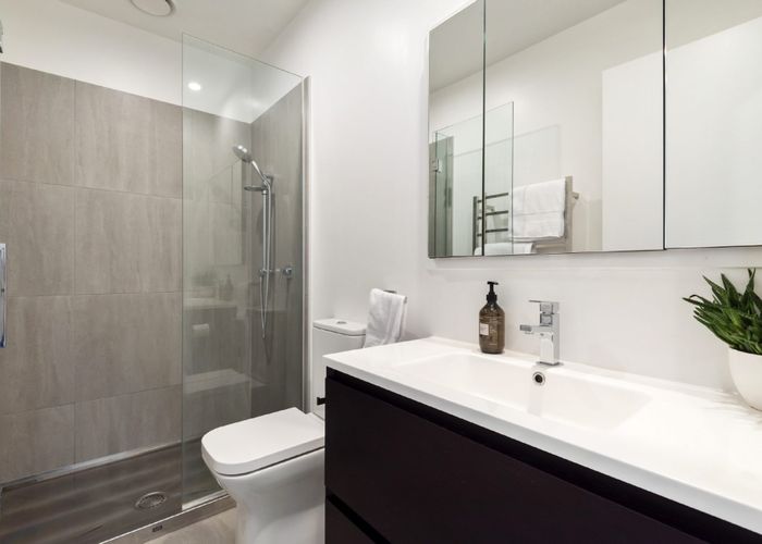  at 313/1a Soljak Place, Mount Albert, Auckland City, Auckland