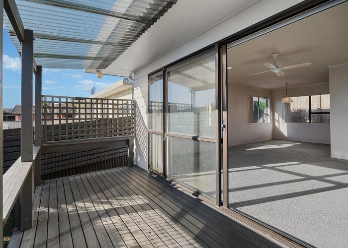  at 1236a Cameron Road, Gate Pa, Tauranga, Bay Of Plenty
