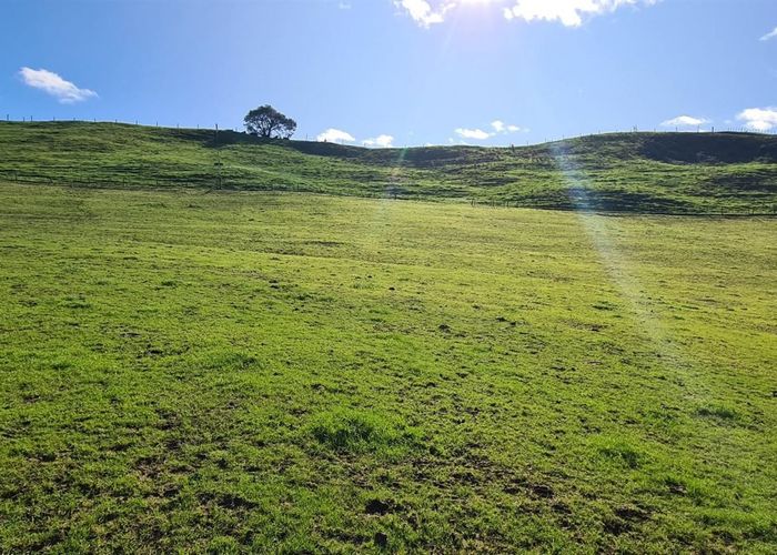  at 8G Hinckley Road, Whakamarama, Whakamārama