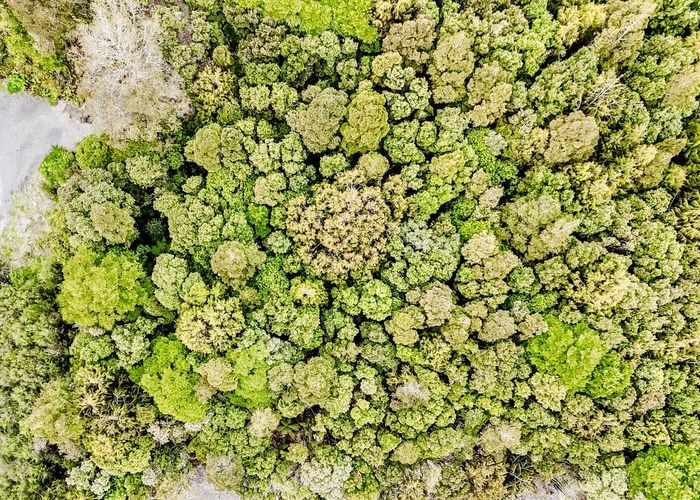  at 8 Harrison Place, Kumara Junction, Westland, West Coast