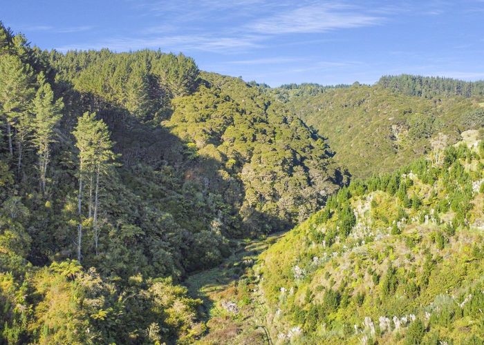  at 1 State Highway 2, Taneatua, Whakatane, Bay Of Plenty
