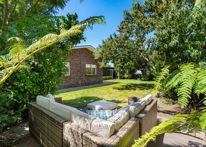  at 55 Guppy Road, Greenmeadows, Napier
