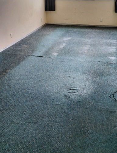  at 204/5 Andrews Ave , Lower Hutt, Lower Hutt, Wellington