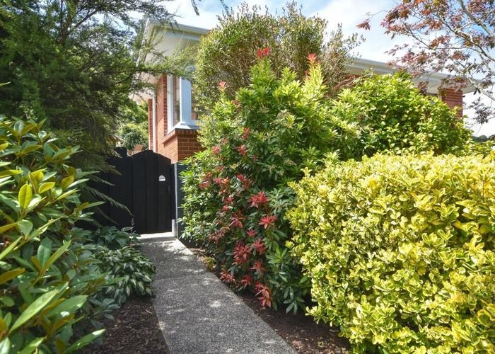  at 56 Woodhaugh Street, Woodhaugh, Dunedin