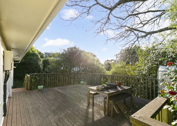  at 21 Alwyn Place, Newlands, Wellington