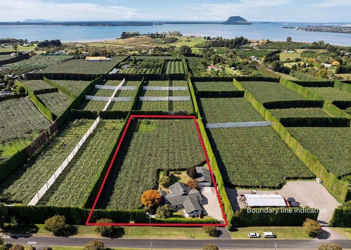  at 13 James Road, Tauranga