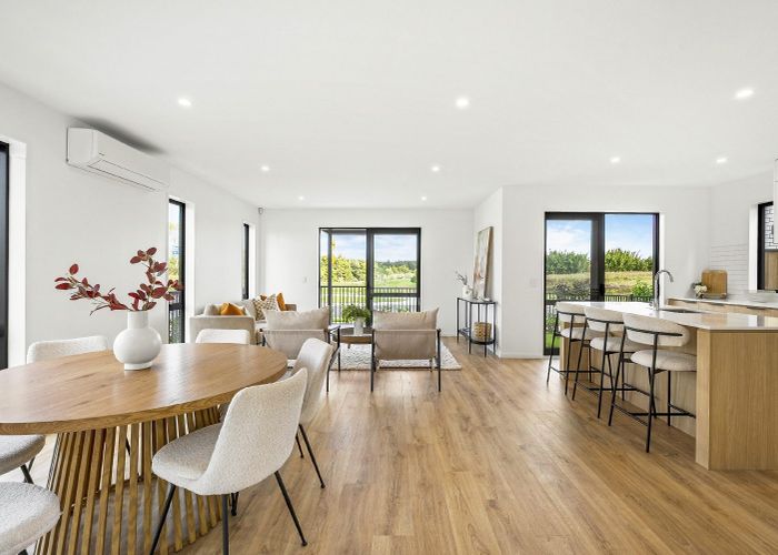  at 19 Karamu Street, Flat Bush, Manukau City, Auckland