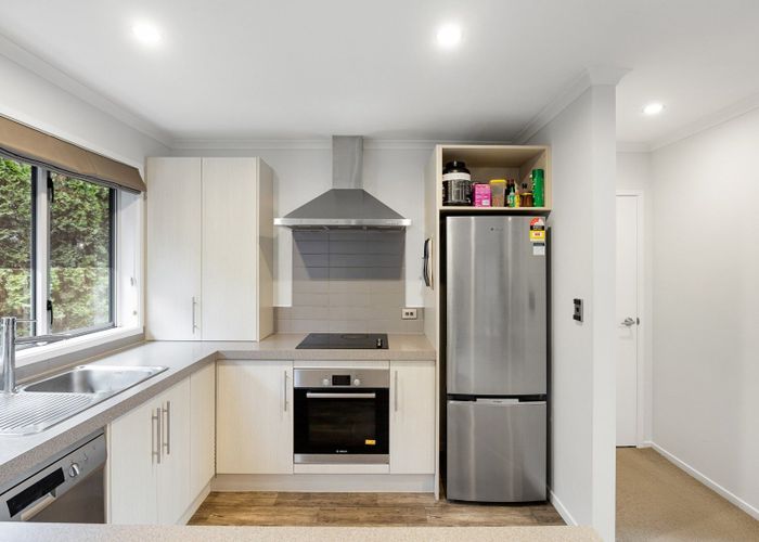  at 13 Stadium Lane, Whitiora, Hamilton