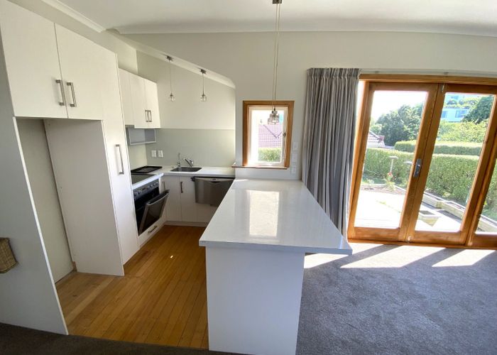  at 17 Dundonald Street, Tainui, Dunedin, Otago