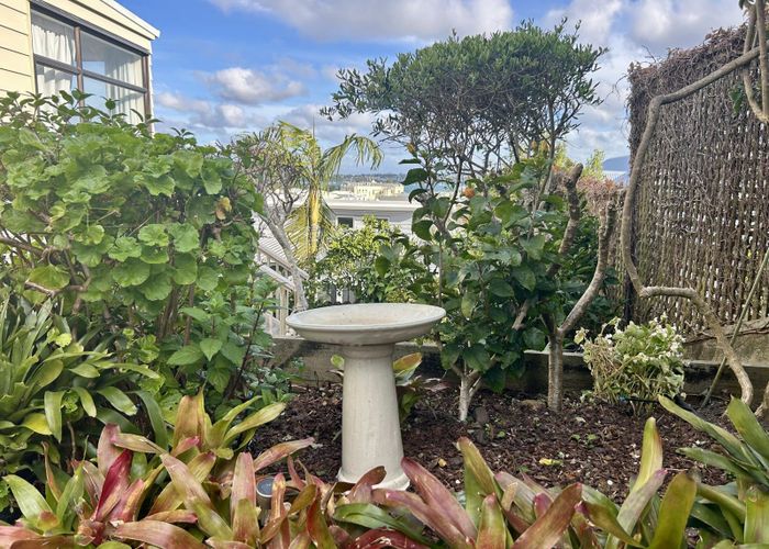  at 2/9 Calliope Road, Devonport, North Shore City, Auckland