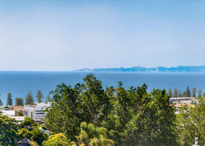  at 40 Milton Road, Bluff Hill, Napier, Hawke's Bay