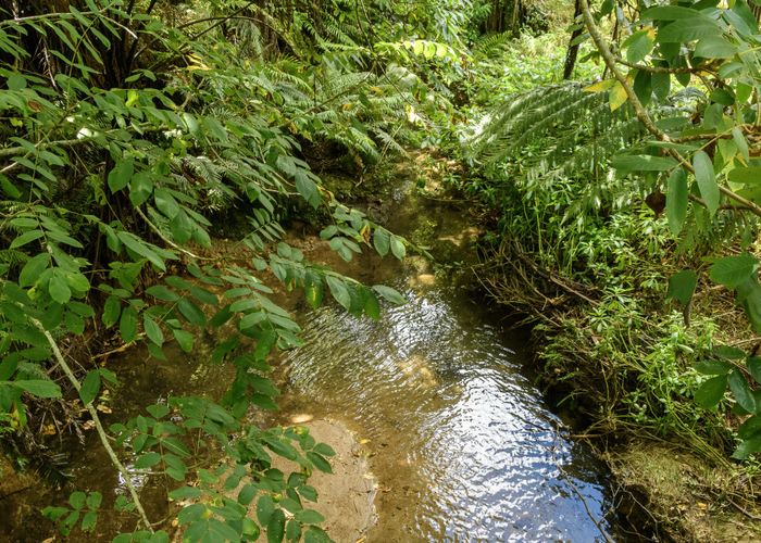  at 257D Whakamarama Road, Whakamarama, Tauranga