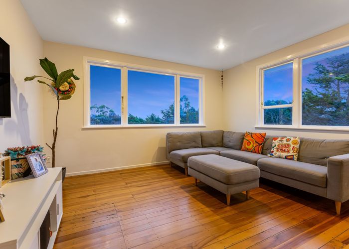  at 16 Sasanof View, Ascot Park, Porirua, Wellington