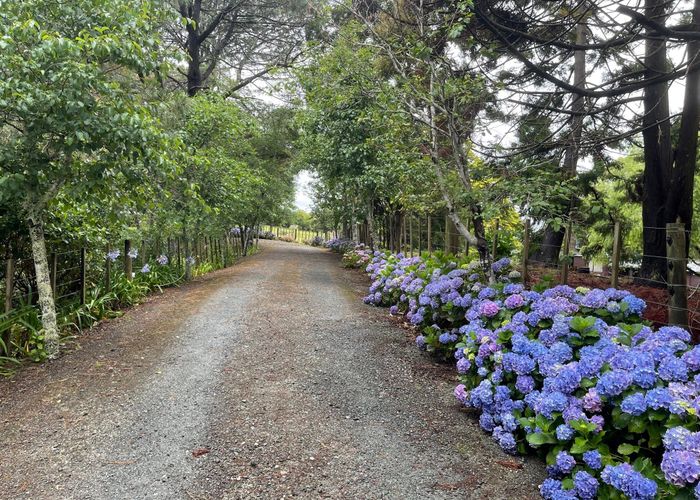  at 156 Elmore Road, Lucas Heights, North Shore City, Auckland