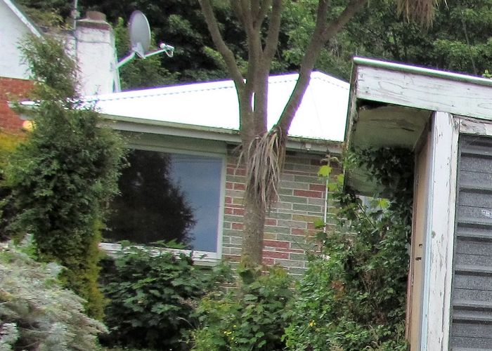  at 116 Queen Street, North Dunedin, Dunedin, Otago