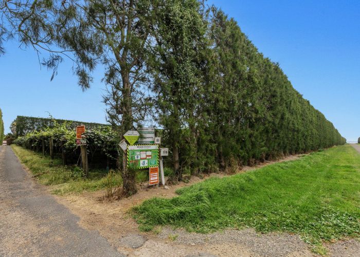  at 106 Beach Road, Tirohanga, Opotiki, Bay Of Plenty