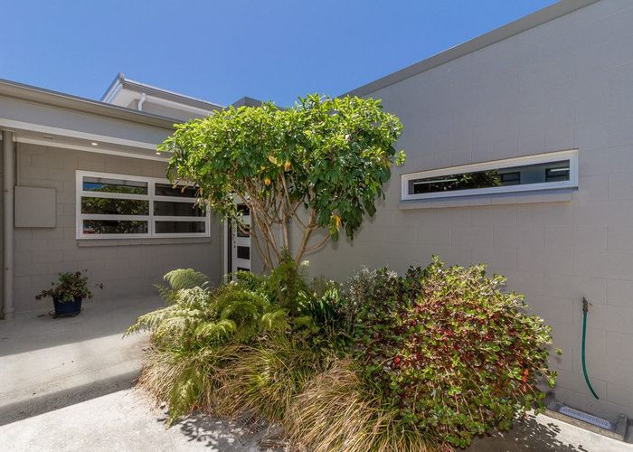  at 10 Swan Street, Napier South, Napier, Hawke's Bay