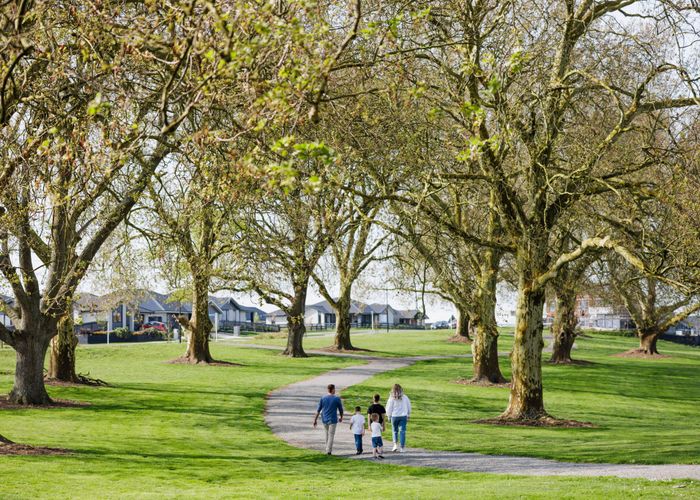  at Morrin Street, Morrinsville, Matamata-Piako, Waikato