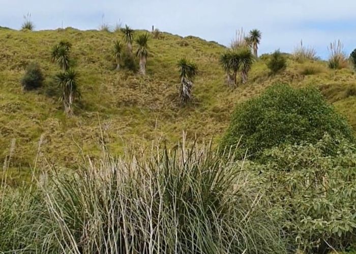  at WILSON ROAD, South Head, Rodney, Auckland