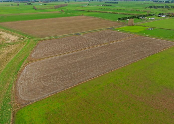  at Kaimatarau Road, Rongotea, Manawatu, Manawatu / Whanganui
