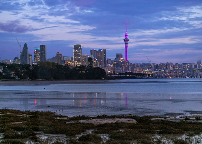  at 22A  Charles Street, Hauraki, North Shore City, Auckland