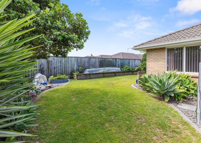  at 99 Longview Drive, Papamoa, Tauranga, Bay Of Plenty