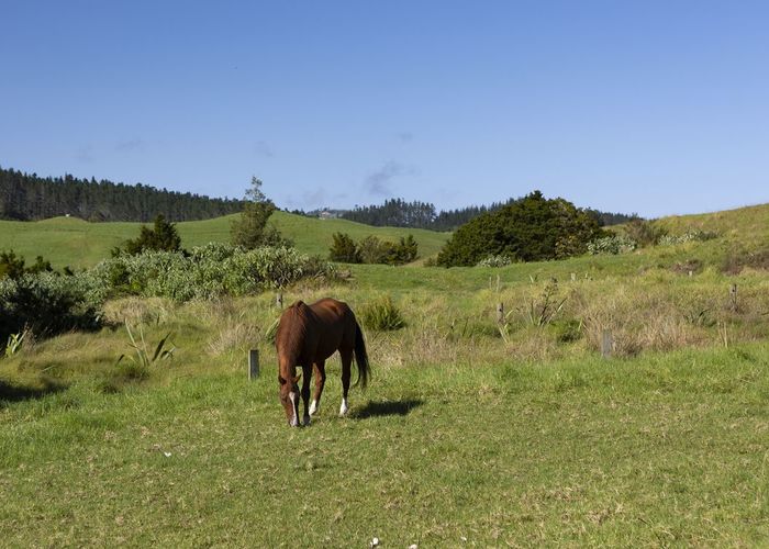  at 1238 Fern Flat Road, Kaeo, Far North, Northland