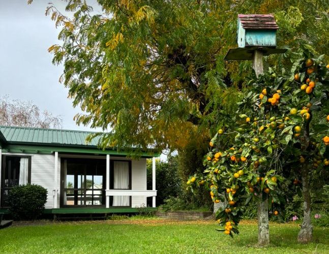 For rent 16 Ngaio Place, Pukete, Hamilton, Waikato homes.co.nz