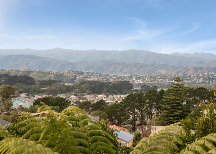  at 22 Whaui Street, Vogeltown, Wellington