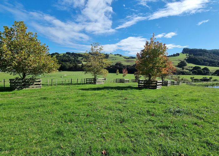  at 11 Millett RD, Whangaripo, Wellsford