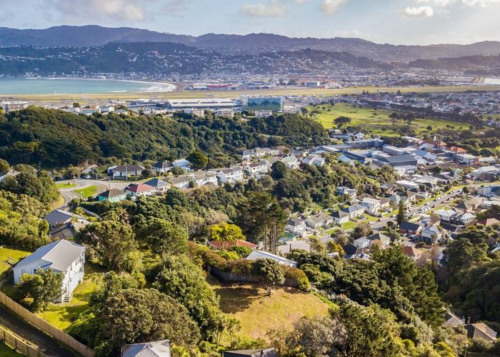  at 102 Sidlaw Street, Strathmore Park, Wellington, Wellington