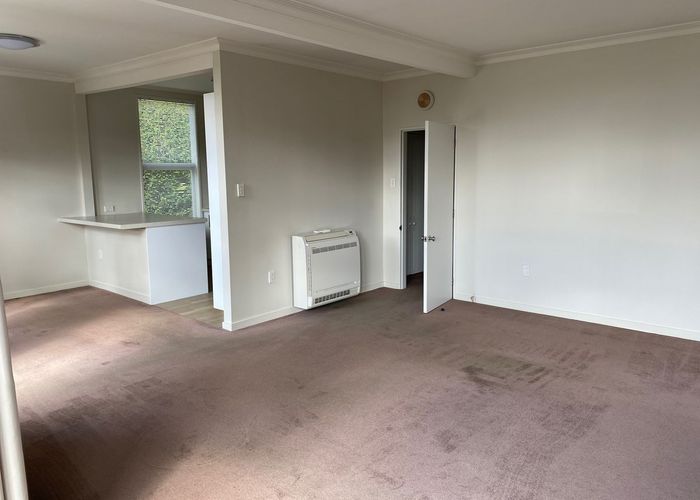  at 4 Airedale Street, Dunedin Central, Dunedin