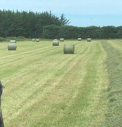  at 410 Harmans Gorge Road, View Hill, Waimakariri, Canterbury