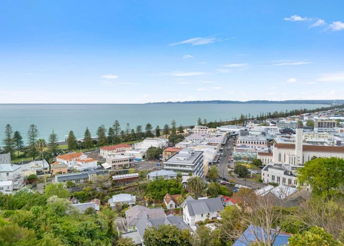  at 12 Brewster Street, Bluff Hill, Napier, Hawke's Bay