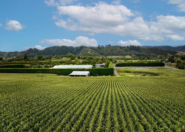  at 1200 State Highway 1, Manakau, Horowhenua, Manawatu / Whanganui