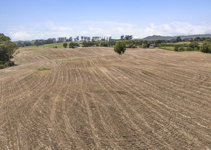  at 1542 Morrinsville-Walton Road, Morrinsville, Matamata-Piako, Waikato