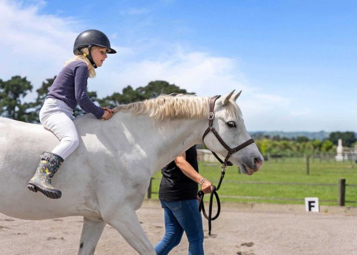  at 324 Norfolk Road, Carterton, Carterton, Wellington