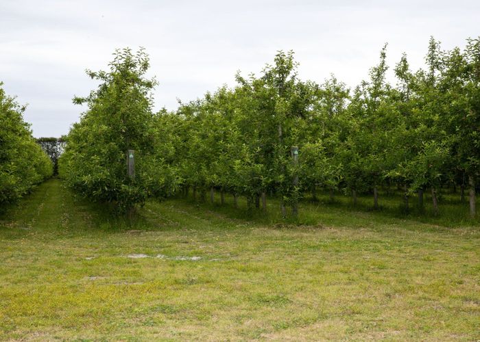  at 325 Riverbend Road, Meeanee, Napier, Hawke's Bay