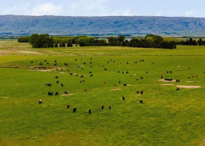  at Pendella Farm, 72 Gibson Road, Ranfurly, Central Otago, Otago
